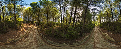 Via domitia à Sigean